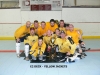 E2 DECK - YELLOW JACKETS