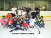 PEEWEE-LEARN TO PLAY HOCKEY!