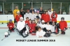 MIDGET LEAGUE SUMMER 2016 