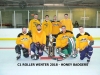 C1 ROLLER WINTER 2018 - HONEY BADGERS