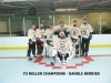 F2 ROLLER WINTER 2020 CHAMPIONS - DANGLE BERRIES