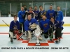 SPRING 2021 A PUCK CHAMPS - ZRINK SELECTS