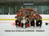 SPRING 2021 E3 ROLLER CHAMPS - FIREBIRDS