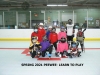 SPRING 2021 PEEWEE- LEARN TO SKATE 