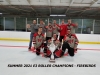 SUMMER 2021 E3 ROLLER CHAMPIONS - FIREBIRDS