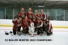 WINTER 2023 E2 ROLLER CHAMPS - BOMBERS