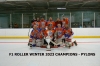 WINTER 2023 F1 ROLLER CHAMPS - PYLONS