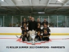 SUMMER 2023 F1 ROLLER CHAMPS - MARMOSETS