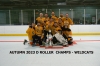 AUTUMN 2023 D ROLLER CHAMPS - WILDCATS