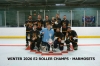 WINTER 2026 E2 ROLLER CHAMPS - MARMOSETS